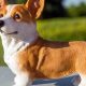 Charming Corgi Garden Statue Decor: Find Yours! | The Ultimate Gardening Guide: Grow a Thriving Garden Year-Round