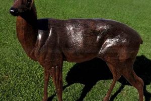 Garden Deer Statues: Beautify Your Yard! The Ultimate Gardening Guide: Grow a Thriving Garden Year-Round Garden Deer Statues: Beautify Your Yard! | The Ultimate Gardening Guide: Grow a Thriving Garden Year-Round
