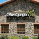 Olive Garden Senior Discount: Save More & Dine | The Ultimate Gardening Guide: Grow a Thriving Garden Year-Round