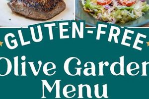 Collectible Olive Garden Pins: A Delicious History | The Ultimate Gardening Guide: Grow a Thriving Garden Year-Round