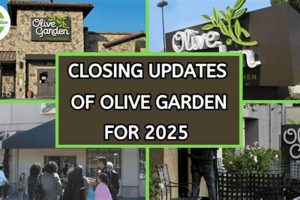 Olive Garden: Is Olive Garden Closing Down? The Truth! The Ultimate Gardening Guide: Grow a Thriving Garden Year-Round Olive Garden: Is Olive Garden Closing Down? The Truth! | The Ultimate Gardening Guide: Grow a Thriving Garden Year-Round