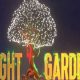 Grow Light Garden Olive Branch Oasis: Peace &amp; Beauty | The Ultimate Gardening Guide: Grow a Thriving Garden Year-Round