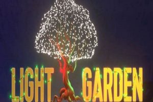 Grow Peace: Olive Branch Light Garden Designs & Ideas The Ultimate Gardening Guide: Grow a Thriving Garden Year-Round Grow Peace: Olive Branch Light Garden Designs & Ideas | The Ultimate Gardening Guide: Grow a Thriving Garden Year-Round