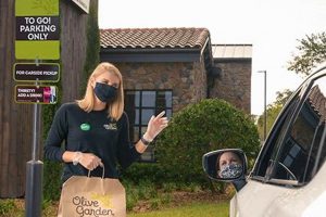 Olive Garden To Go Specialist Pay: What To Expect | The Ultimate Gardening Guide: Grow a Thriving Garden Year-Round