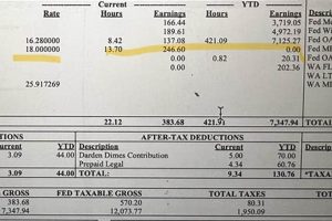 Olive Garden Weekly Pay: Get Paid, Budget Better [Guide] | The Ultimate Gardening Guide: Grow a Thriving Garden Year-Round