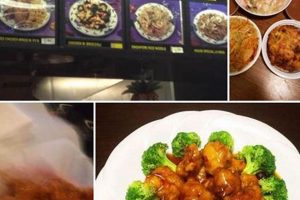 My China Garden Myrtle Beach, SC: Menu & Reviews! | The Ultimate Gardening Guide: Grow a Thriving Garden Year-Round