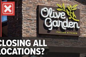 Olive Garden: Find Closing Time Today + Late Night? The Ultimate Gardening Guide: Grow a Thriving Garden Year-Round Olive Garden: Find Closing Time Today + Late Night? | The Ultimate Gardening Guide: Grow a Thriving Garden Year-Round