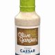Olive Garden Caesar Dressing: Easy Copycat Recipe | The Ultimate Gardening Guide: Grow a Thriving Garden Year-Round