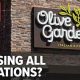 Olive Garden: Is Olive Garden Closing? [Rumors & Facts] | The Ultimate Gardening Guide: Grow a Thriving Garden Year-Round