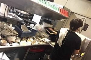 Olive Garden Dishwasher Salary: What to Expect + Tips | The Ultimate Gardening Guide: Grow a Thriving Garden Year-Round