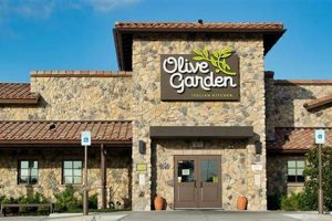 Rumors: Olive Garden Going Out of Business? Future & Alternatives | The Ultimate Gardening Guide: Grow a Thriving Garden Year-Round