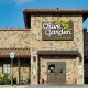 Rumors: Olive Garden Going Out of Business? Future & Alternatives | The Ultimate Gardening Guide: Grow a Thriving Garden Year-Round