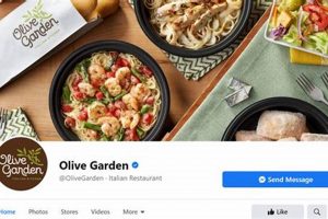 Olive Garden Gift Cards: Can You Use at LongHorn? Tips! The Ultimate Gardening Guide: Grow a Thriving Garden Year-Round Olive Garden Gift Cards: Can You Use at LongHorn? Tips! | The Ultimate Gardening Guide: Grow a Thriving Garden Year-Round