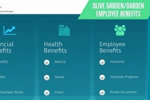 Olive Garden Employee Benefits: Perks & More in 2024 The Ultimate Gardening Guide: Grow a Thriving Garden Year-Round Olive Garden Employee Benefits: Perks & More in 2024 | The Ultimate Gardening Guide: Grow a Thriving Garden Year-Round