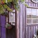 Find Your Home Town Garden Shed: Storage & Style! | The Ultimate Gardening Guide: Grow a Thriving Garden Year-Round