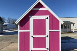 Maximize Space: Garden Shed Playhouse Combo Ideas! | The Ultimate Gardening Guide: Grow a Thriving Garden Year-Round