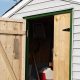 Easy Garden Shed Door Plans: Build Yours Now! | The Ultimate Gardening Guide: Grow a Thriving Garden Year-Round