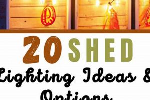 Shed Lighting: Garden Shed Lighting Ideas That Work! | The Ultimate Gardening Guide: Grow a Thriving Garden Year-Round