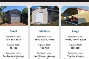 Guide to Standard Garden Shed Sizes Dimensions + Guide | The Ultimate Gardening Guide: Grow a Thriving Garden Year-Round