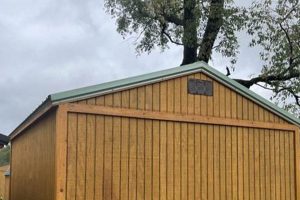 Ultimate 12x16 Garden Sheds: Storage & Style | The Ultimate Gardening Guide: Grow a Thriving Garden Year-Round