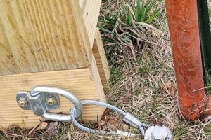 Shed Strong: How to Anchor a Garden Shed to the Ground, Securely! The Ultimate Gardening Guide: Grow a Thriving Garden Year-Round Shed Strong: How to Anchor a Garden Shed to the Ground, Securely! | The Ultimate Gardening Guide: Grow a Thriving Garden Year-Round