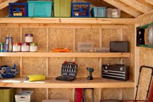 Shed Savvy: Garden Shed Shelving Ideas to Organize! | The Ultimate Gardening Guide: Grow a Thriving Garden Year-Round