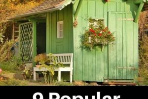 Best Garden Shed Siding Options: Guide + Ideas! The Ultimate Gardening Guide: Grow a Thriving Garden Year-Round Best Garden Shed Siding Options: Guide + Ideas! | The Ultimate Gardening Guide: Grow a Thriving Garden Year-Round
