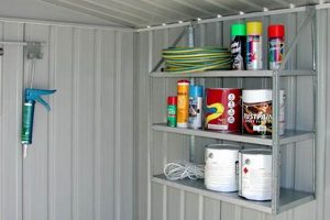 Must-Have Garden Shed Accessories | Maximize Your Shed! | The Ultimate Gardening Guide: Grow a Thriving Garden Year-Round