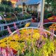 Your Warrens Garden Center: Plants, Supplies & More! | The Ultimate Gardening Guide: Grow a Thriving Garden Year-Round