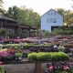 Your Redmond's Garden Center: Plants, Supplies & More! | The Ultimate Gardening Guide: Grow a Thriving Garden Year-Round