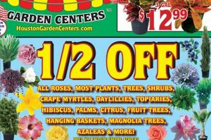 Find Houston Garden Center Weekly Ad Deals - [Your Garden Center Name] | The Ultimate Gardening Guide: Grow a Thriving Garden Year-Round