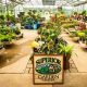 Find Your Superior Garden Center: Supplies & Plants | The Ultimate Gardening Guide: Grow a Thriving Garden Year-Round