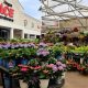 Your Grand Ave Ace Garden Center: Plants & More! | The Ultimate Gardening Guide: Grow a Thriving Garden Year-Round