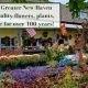 Your Cheshire Nursery: Garden Center & Florist for You | The Ultimate Gardening Guide: Grow a Thriving Garden Year-Round