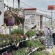Local Farm & Garden Center: Your Green Source | The Ultimate Gardening Guide: Grow a Thriving Garden Year-Round