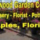 Your Dream Garden Starts at Driftwood Garden Center Naples, FL! | The Ultimate Gardening Guide: Grow a Thriving Garden Year-Round