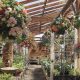 Inspiring Garden Center Ideas: Design &amp; More | The Ultimate Gardening Guide: Grow a Thriving Garden Year-Round