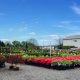 Find Your Perfect Plants: Lehigh Valley Garden Center PA Guide | The Ultimate Gardening Guide: Grow a Thriving Garden Year-Round