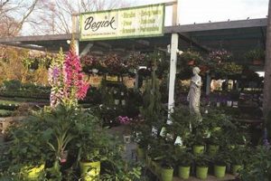 Your Local Begick Nursery and Garden Center The Ultimate Gardening Guide: Grow a Thriving Garden Year-Round Your Local Begick Nursery and Garden Center | The Ultimate Gardening Guide: Grow a Thriving Garden Year-Round