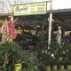Your Local Begick Nursery and Garden Center | The Ultimate Gardening Guide: Grow a Thriving Garden Year-Round
