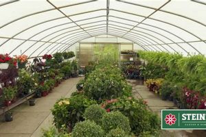 Your Guide to Stine Garden Center | [Year] Tips | The Ultimate Gardening Guide: Grow a Thriving Garden Year-Round