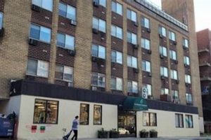 Cypress Garden Center Reviews: Care &amp; Rehab Insights | The Ultimate Gardening Guide: Grow a Thriving Garden Year-Round