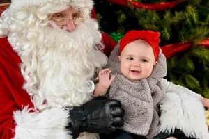 Your Local: Daniels Garden Center Supplies & More | The Ultimate Gardening Guide: Grow a Thriving Garden Year-Round