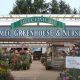 Your Local Bremec Garden Center in Cleveland Heights, OH | The Ultimate Gardening Guide: Grow a Thriving Garden Year-Round