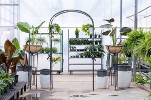 Your Warm Belly Farm & Garden Center Hub The Ultimate Gardening Guide: Grow a Thriving Garden Year-Round Your Warm Belly Farm & Garden Center Hub | The Ultimate Gardening Guide: Grow a Thriving Garden Year-Round