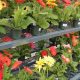 Your Local Keller Garden Center: Plants & More | The Ultimate Gardening Guide: Grow a Thriving Garden Year-Round