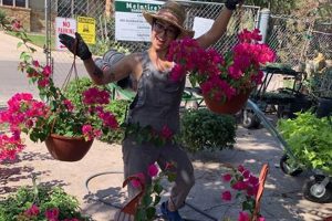 Your Local McIntire Garden Center: Plants, Advice & More! The Ultimate Gardening Guide: Grow a Thriving Garden Year-Round Your Local McIntire Garden Center: Plants, Advice & More! | The Ultimate Gardening Guide: Grow a Thriving Garden Year-Round