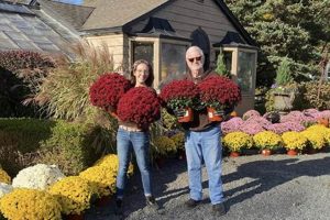 Your Local Seasons Garden Center: Blooms & Beyond! The Ultimate Gardening Guide: Grow a Thriving Garden Year-Round Your Local Seasons Garden Center: Blooms & Beyond! | The Ultimate Gardening Guide: Grow a Thriving Garden Year-Round