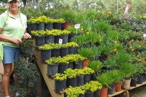 Top Garden Center Merchandiser: Tips &amp; Strategies | The Ultimate Gardening Guide: Grow a Thriving Garden Year-Round