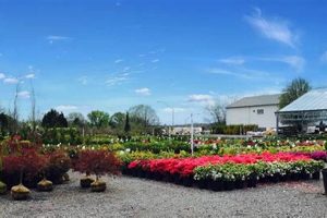 Discover Your Dream Garden: Lehigh Valley Garden Center Guide The Ultimate Gardening Guide: Grow a Thriving Garden Year-Round Discover Your Dream Garden: Lehigh Valley Garden Center Guide | The Ultimate Gardening Guide: Grow a Thriving Garden Year-Round